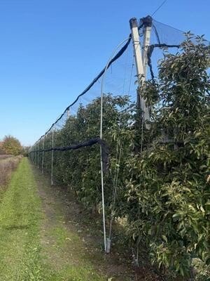 dystans do siatki antygradowej